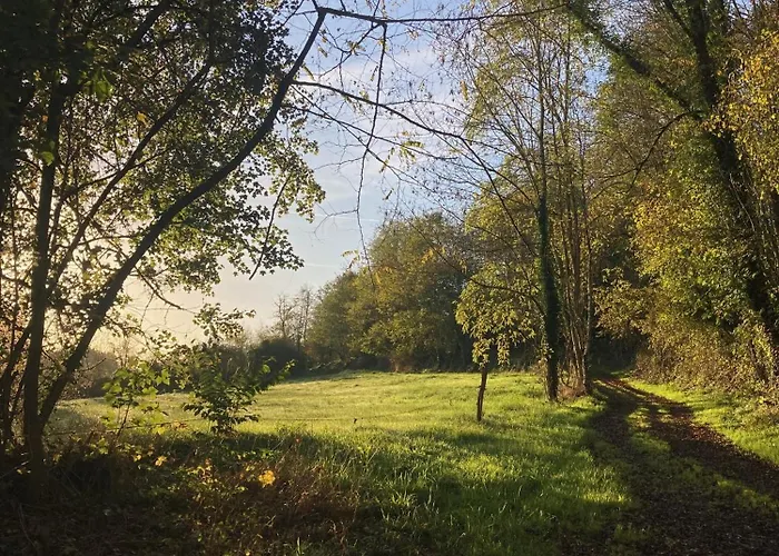 Authentique Et Chaleureux Entre Pau, Lourdes Et Les Pyrenees Pour 7 Personnes Vakantiehuis Nousty